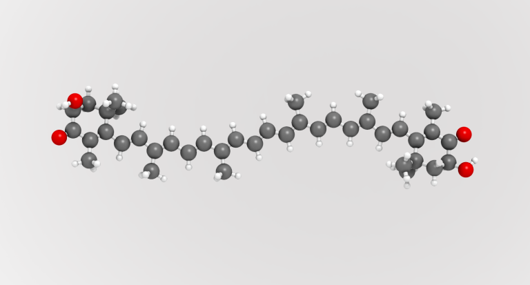 The astaxanthin molecule.