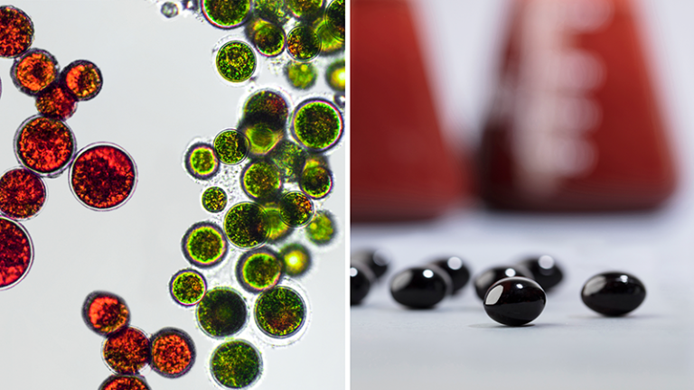 What is Asxtaxanthin