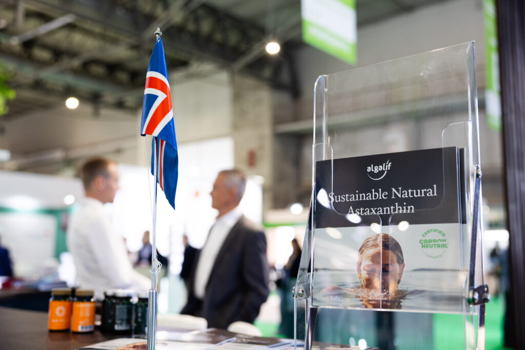 Celebrating Iceland's National Day